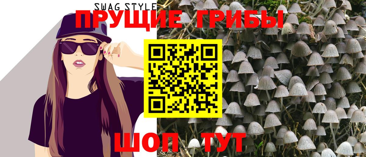 Сертолово  Псилоцибиновые грибы Psilocybe  Вход с VPN  Галлюциногенные грибы прущие грибы 